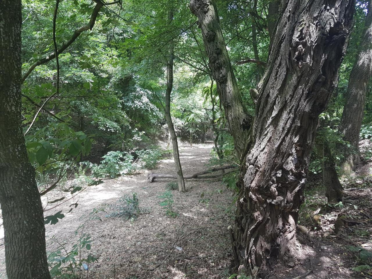 Old Stone Villa Obarok エクステリア 写真